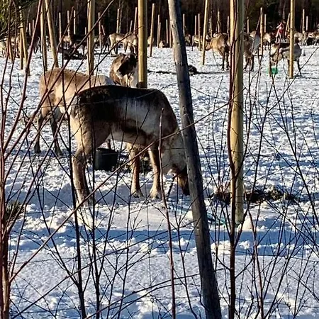 Yllaestoelli 2 A, Aekaeslompolo Horská chata Kolari